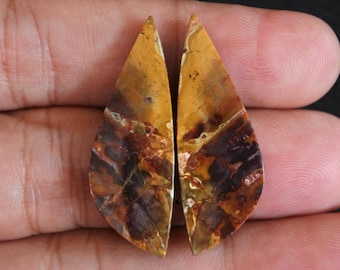 Multicolor Opalized Petrified Wood Pair