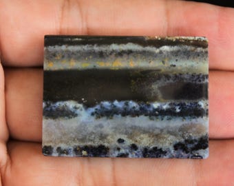 Scenic Multicolor Opalized Petrified Wood