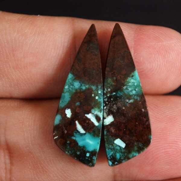 Blue opalized petrified Wood pair