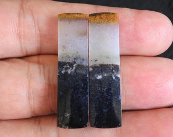 Multicolor Opalized Petrified Wood Pair