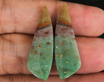 Multicolor Blue Opalized Petrified Wood Pair