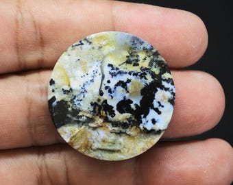 Scenic Multicolor Opalized Petrified Wood Dendrite