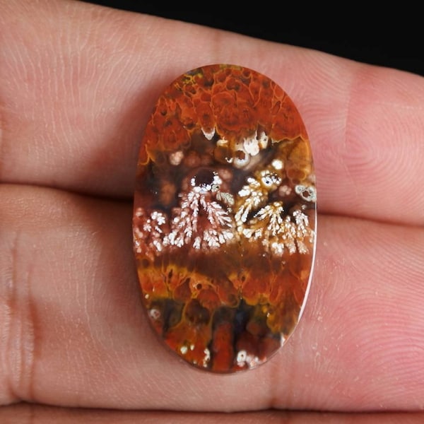 Multicolor plume Opalized petrified Wood