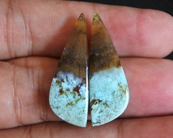 Multicolor Blue Opalized Petrified Wood Pair