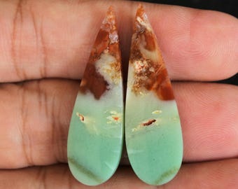 Multicolor Druzy Blue Opalized Petrified Wood Pair