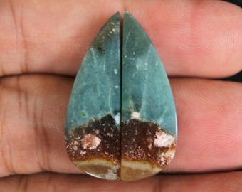 Multicolor Blue Opalized Petrified Wood Pair