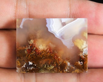 Scenic Moss Agate Orbicular Cabochon: Garden Stone (25x32x5 mm)