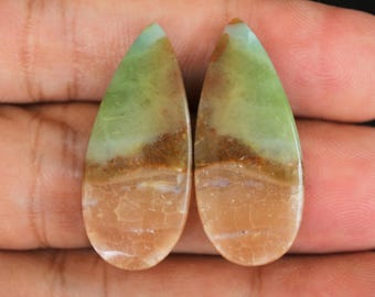 Multicolor Blue Opalized Petrified Wood Pair