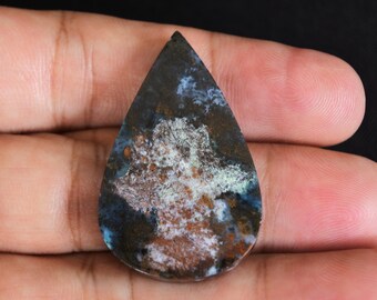 Multicolor Blue Opalized Petrified Wood Copper