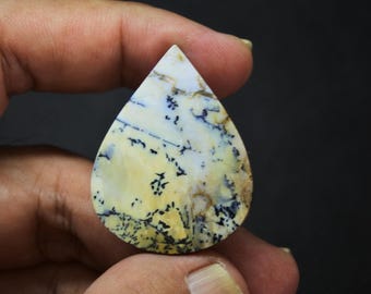Scenic Multicolor Opalized Petrified Wood