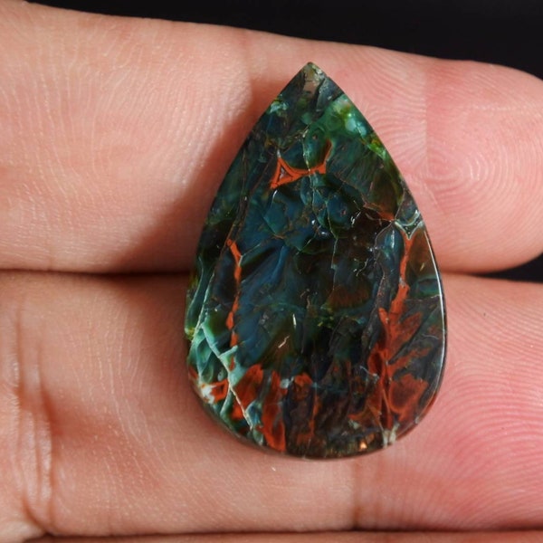 Blue opalized petrified Wood multycolor