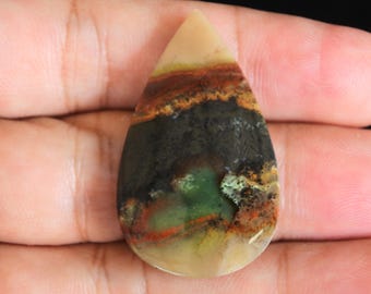 Multicolor Blue Opalized Petrified Wood