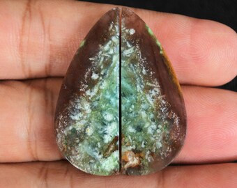 Multicolor Blue Opalized Petrified Wood Pair