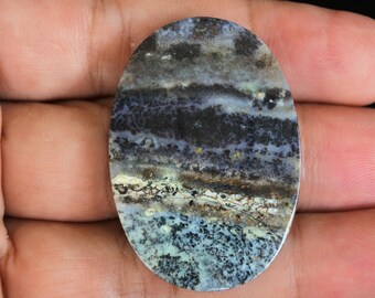 Scenic Multicolor Opalized Petrified Wood