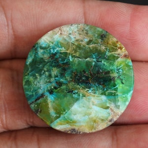 Multicolor Blue Opalized Petrified Wood