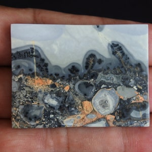 May include: A polished slab of gray, white, and black agate with a dendritic pattern. The agate has a swirling, abstract design with hints of orange and brown.