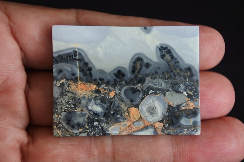 May include: A polished slab of gray, white, and black agate with a dendritic pattern. The agate has a swirling, abstract design with hints of orange and brown.