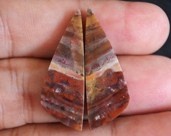 Multicolor Opalized Petrified Wood Pair