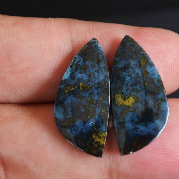 Blue opalized petrified Wood pair