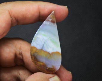 Multicolor Opalized Petrified Wood Gemstone