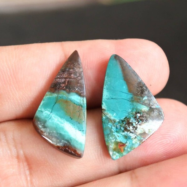 Blue opalized petrified Wood lots