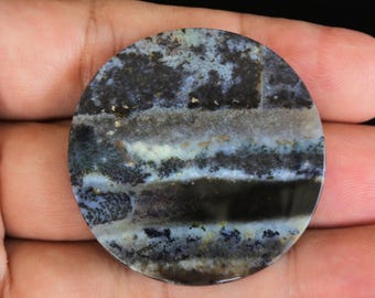 Scenic Multicolor Opalized Petrified Wood