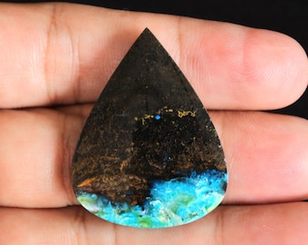 Multicolor Blue opalized petrified Wood