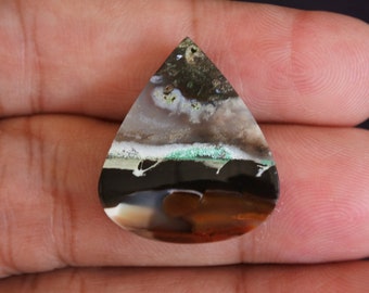 Multicolor Opalized Petrified Wood