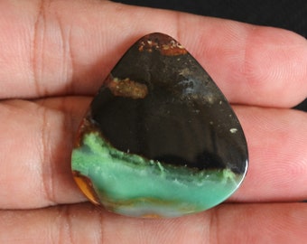 Multicolor Blue Opalized Petrified Wood