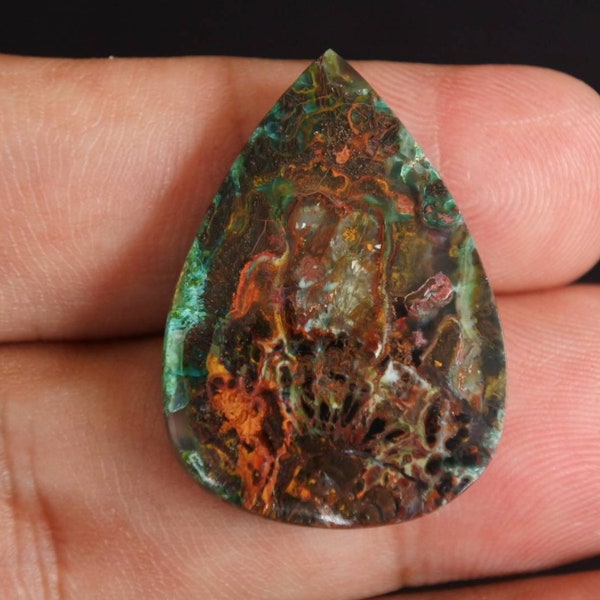 Blue opalized petrified Wood native copper