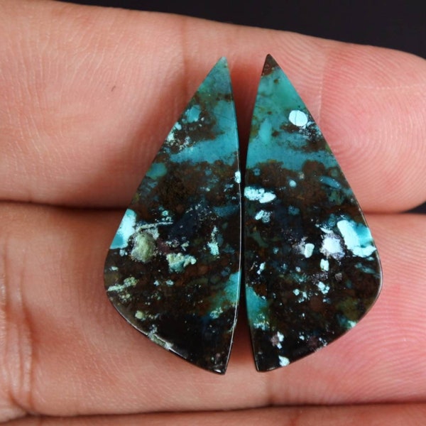 Blue opalized petrified Wood pair