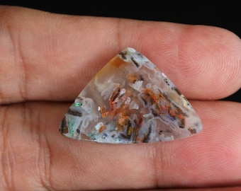 Multicolor Opalized petrified Wood native copper