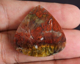 Multicolor plume Opalized petrified Wood