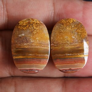 Lace Agate Pair