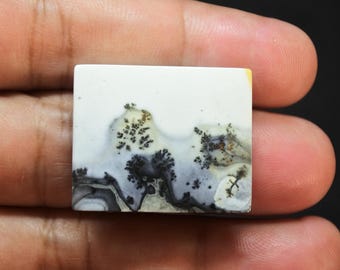 Scenic Maligano Jasper Gemstone