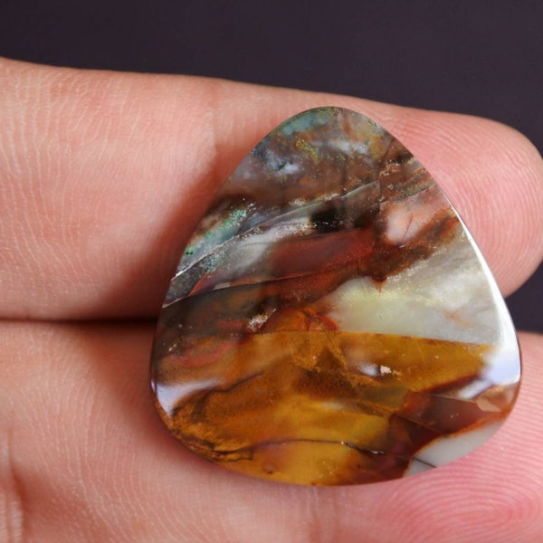 Opalized petrified Wood