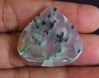 Opalized petrified Wood Chalcedony rare