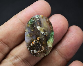Multicolor Blue Opalized Petrified Wood Copper
