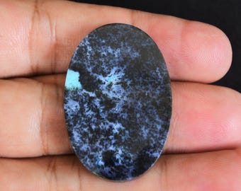 Multicolor Blue Opalized Petrified Wood