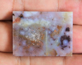 Scenic Multicolor Opalized Petrified Wood