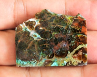 標本研磨された青いオパール化石木銅 - Etsy 日本