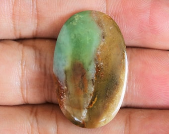 Multicolor Blue Opalized Petrified Wood