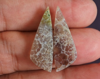 Multicolor Opalized Petrified Wood Pair Rare