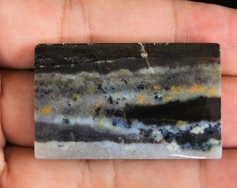 Scenic Multicolor Opalized Petrified Wood