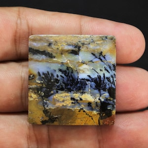 Petrified Wood Tray - Etsy