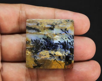 Scenic Multicolor Opalized Petrified Wood Dendrite