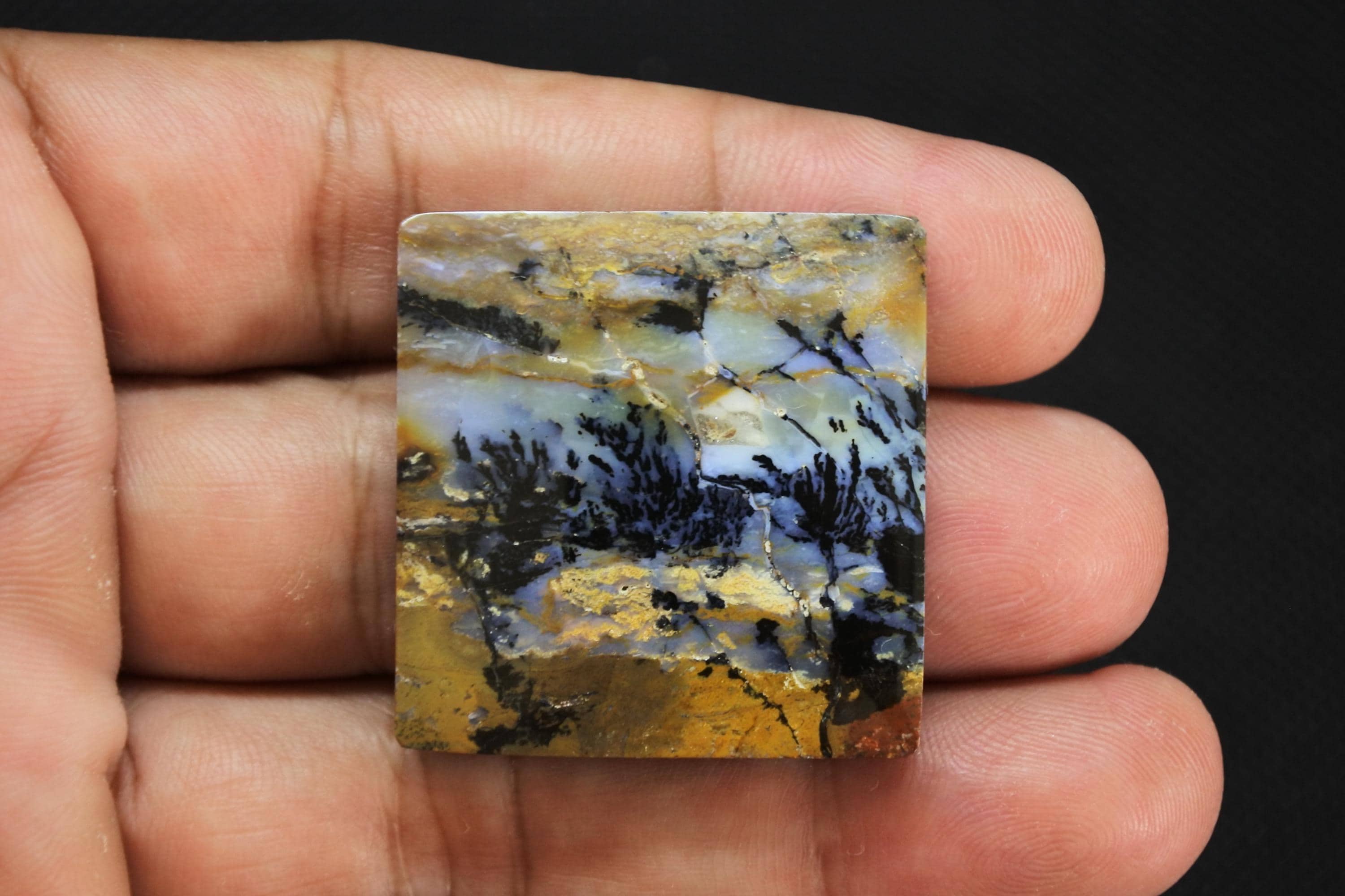 Petrified Wood Tray - Etsy