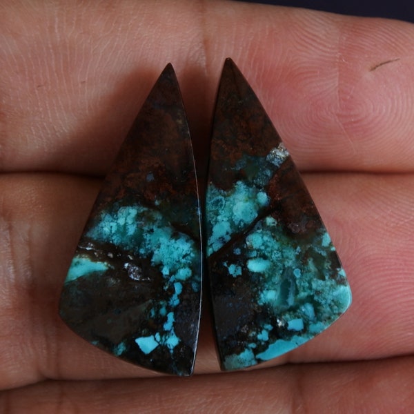 Blue Opalized Petrified Wood Pair