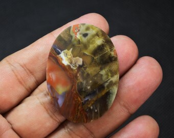 Scenic Multicolor Opalized Petrified Wood
