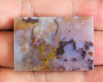 Scenic Multicolor Opalized Petrified Wood